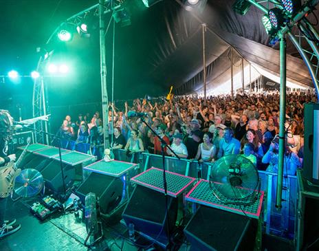 Horsham Fake Festival