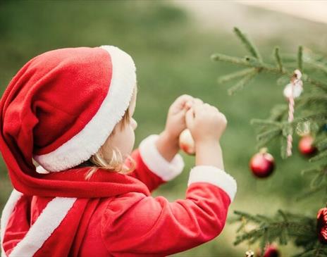 Santa's Grotto & Christmas Kids Trail