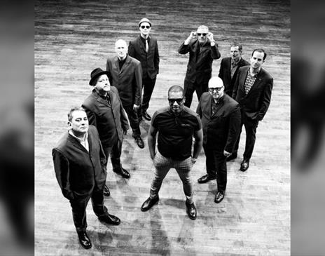 The Specials Ltd.