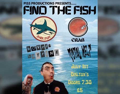 Find The Fish