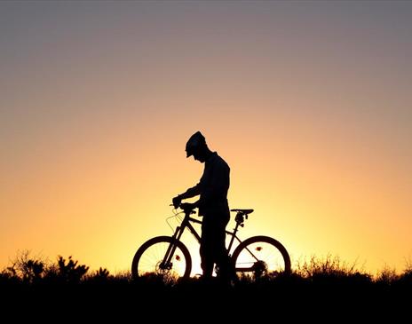 Lone cyclist at sunset