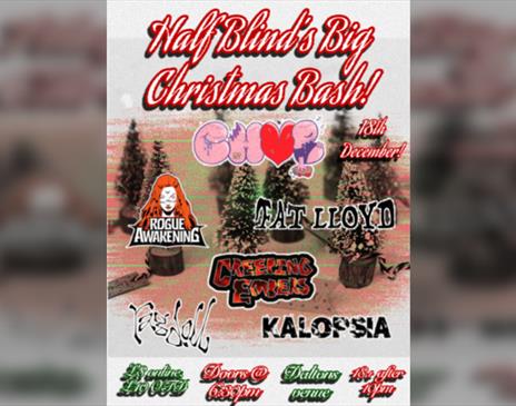 Half Blinds Big Christmas Bash!