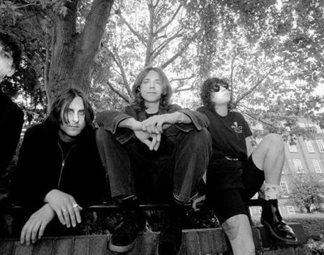 The Wytches