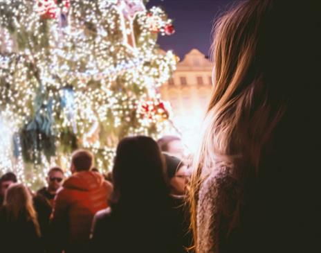 Person looking up at decorated outdoor Christmas tree