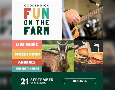 'Fun On The Farm' at Goddenwick Farm