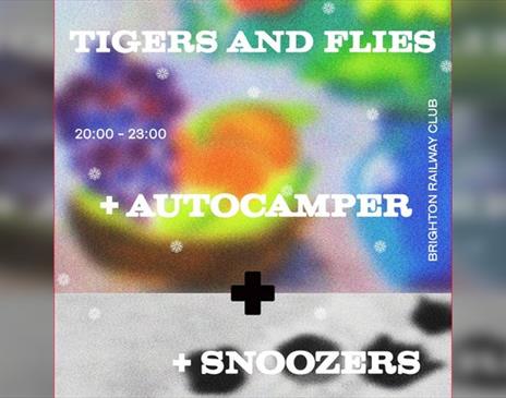 Gathering Speed Presents: Autocamper+Snoozers+Tigers & Flies