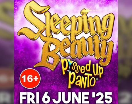 P*ssed Up Panto: Sleeping Beauty