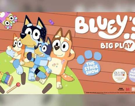 Bluey's Big Play