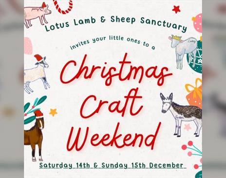 Christmas Crafting and Meet the Animals!