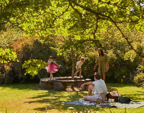 The Woods of Wonder - Summer Trail at Borde Hill