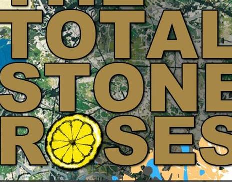 The Total Stone Roses & Oaysis Live