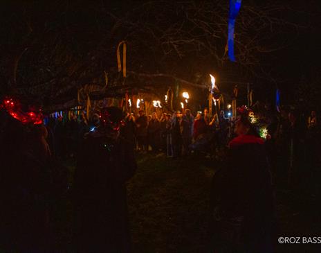 Traditional Tudor Wassail