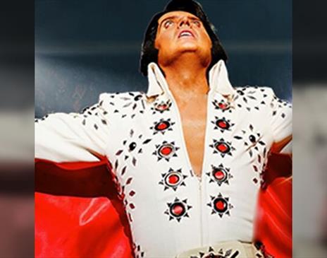 A Vision of Elvis