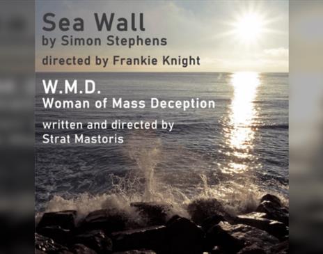 Sea Wall & W.m.d - Woman Of Mass Deception