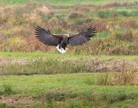 Winter Wildlife Weekend