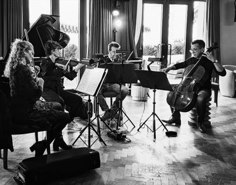 Brighton Philharmonic Orchestra at Brighton College: Strings