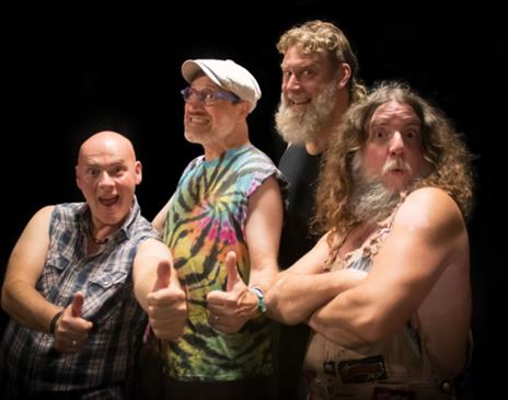 Hayseed Dixie