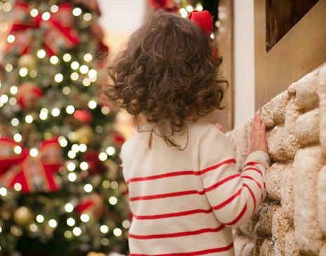 Brown haired child looking at decorated Christmas tree