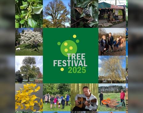 Branch Out – The Tree Festival Symposium