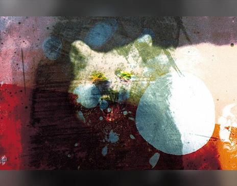 Mogwai