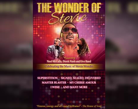 The Wonder of Stevie