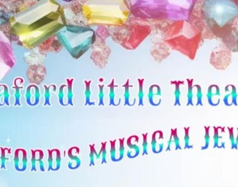 Seaford's Musical Jewels Night