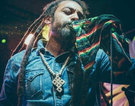 The Marley Experience