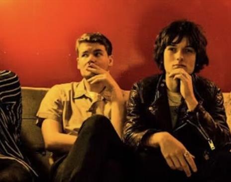 The Velvet Hands