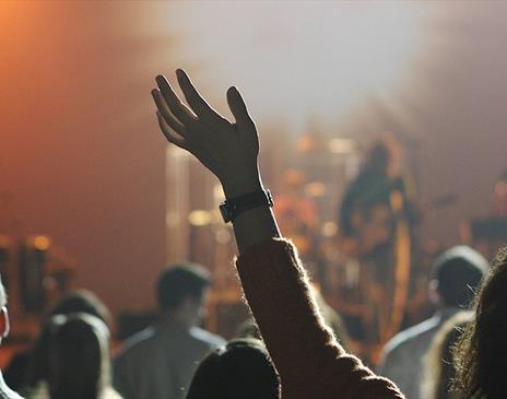 Audience at a music concert