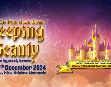 Sleeping Beauty - The Panto of Your Dreams