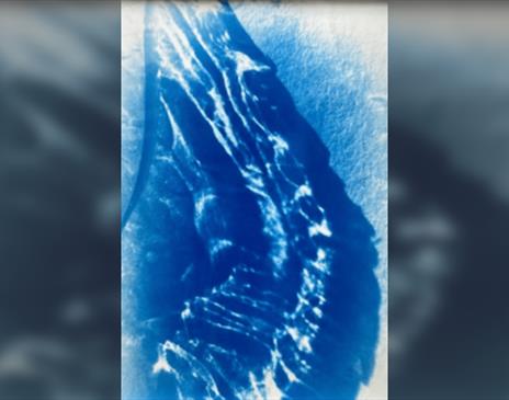 Sea Themed Cyanotypes with Nina Garstang
