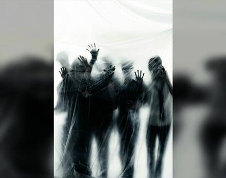 Could Be Ghosts