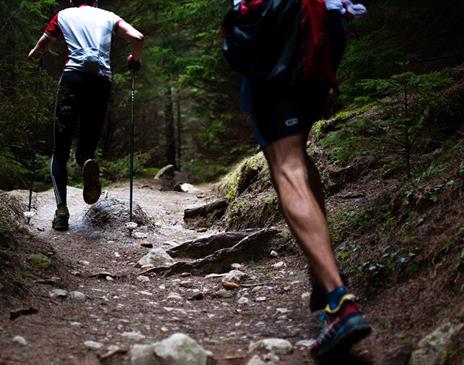 Two people running on a trail