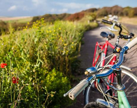 bikes parked along country road