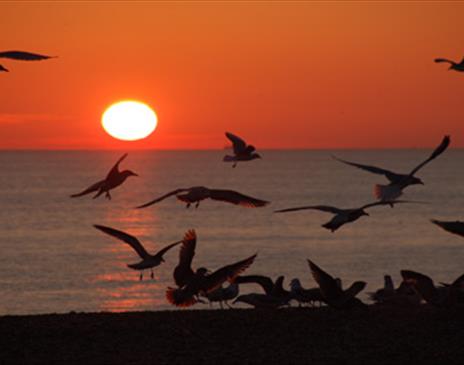 Brighton beach sunset.