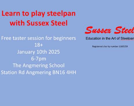 Sussex Steel Steelpan Taster Session - Beginners 18