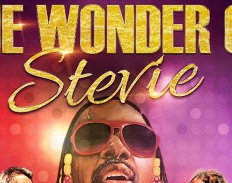 The Wonder of Stevie