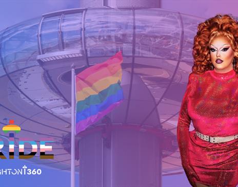 Polly's Pride Party