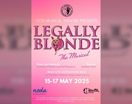 Legally Blonde - COS Musical Theatre