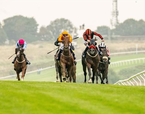 Summer Evening Racing