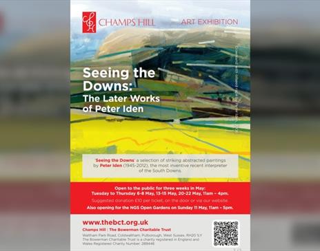 Seeing the Downs: The Later Works of Peter Iden