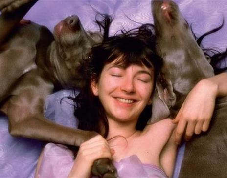 Hounds of Love