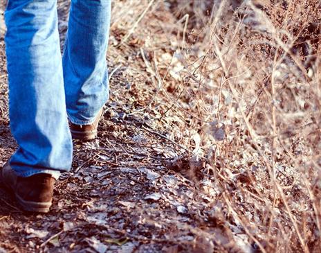Person in jeans walking on a path