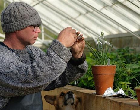 Talk & Tour: Making the Most of the Garden in Winter