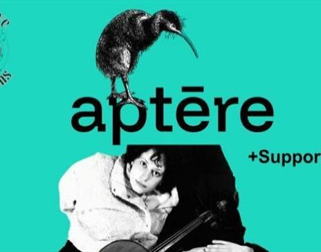 Aptere