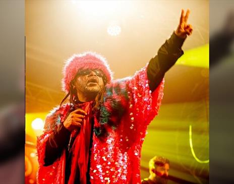 Skindred