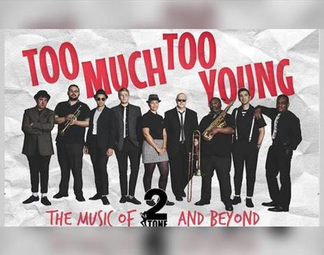 Too Much Too Young - The Story of 2Tone & Beyond!