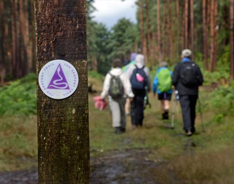 Guided Serpent Trail Walks, Summer 2025