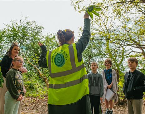 Family Mental Wellbeing Activity Walks