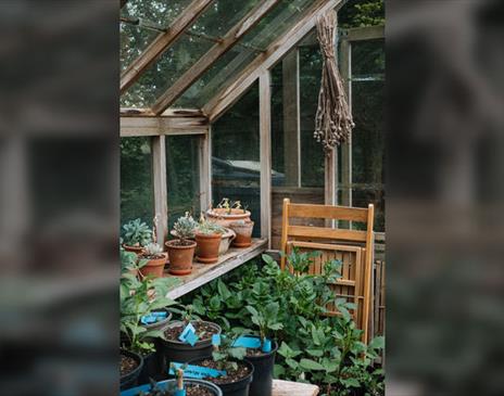 Gardening Basics: Seeds, Bulbs, Annuals and Biennials